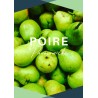 Panoramicks Poire